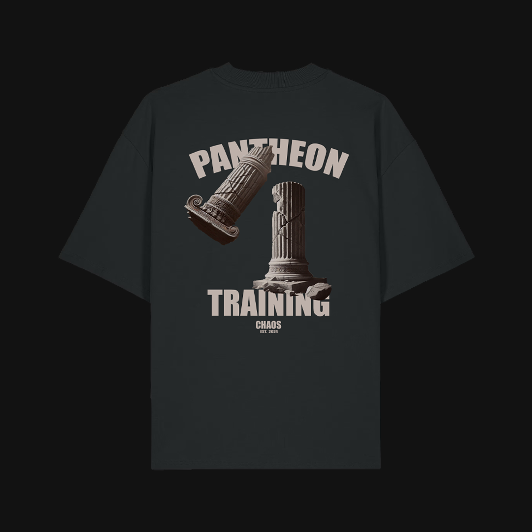 "TRAINING IN PANTHEON" T-SHIRT